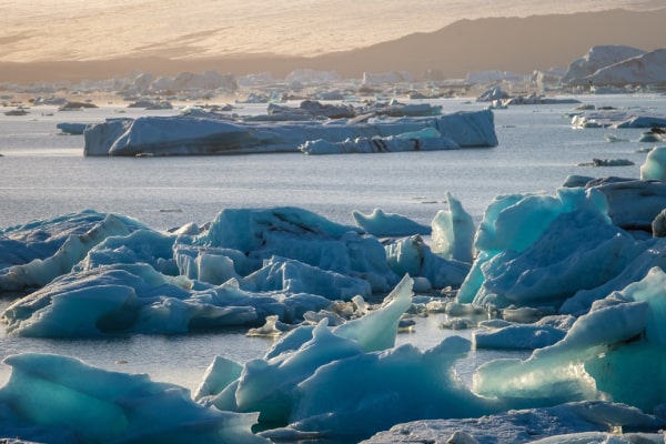 Tu futuro sostenible comienza hoy: ¿por qué deberíamos cuidar el medio ambiente?