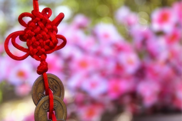 como atraer el dinero y la buena suerte al hogar