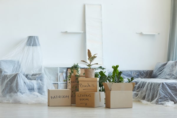 cosas indispensables para una casa